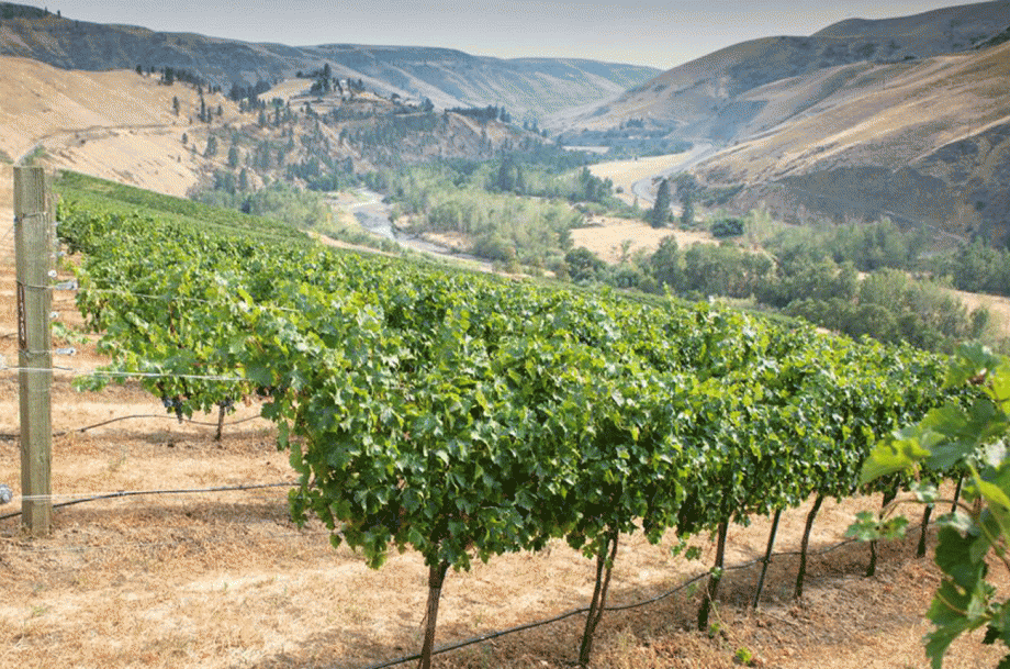 Idaho wine: Lewis-Clark Valley AVA &ndash; Colter's Creek