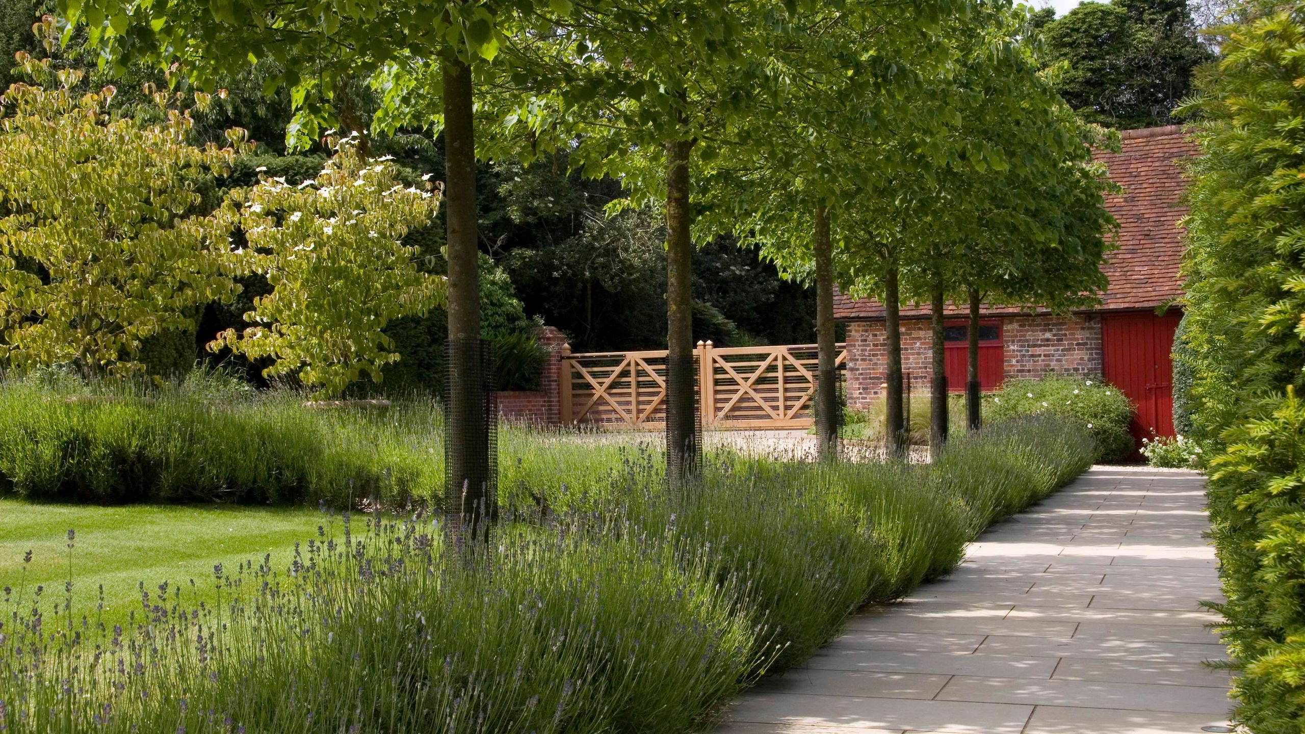 Landscaping around trees 10 stunning ways to bring them into your plot