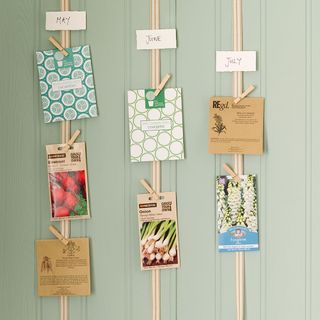 hanging vegetable seed packets