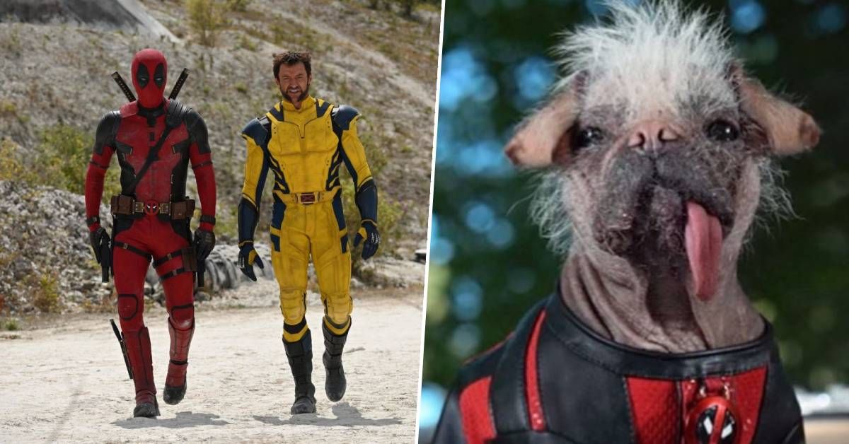 Ryan Reynolds: Did Dogpool save the day? Not a chance in gremlin hell. But  she IS currently causing the Disney plushy merch department nightmares.  Coming with the movie, Summer 2024 : r/MarvelStudiosSpoilers