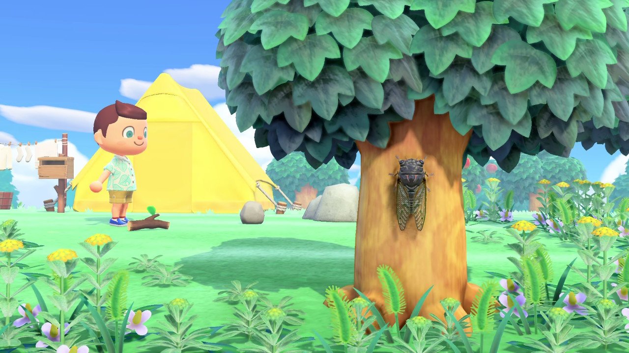 Animal Crossing New Horizons User Reaction
