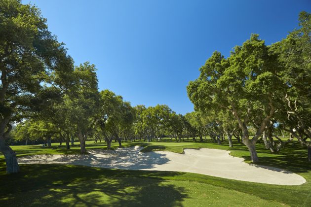 Valderrama 8th hole