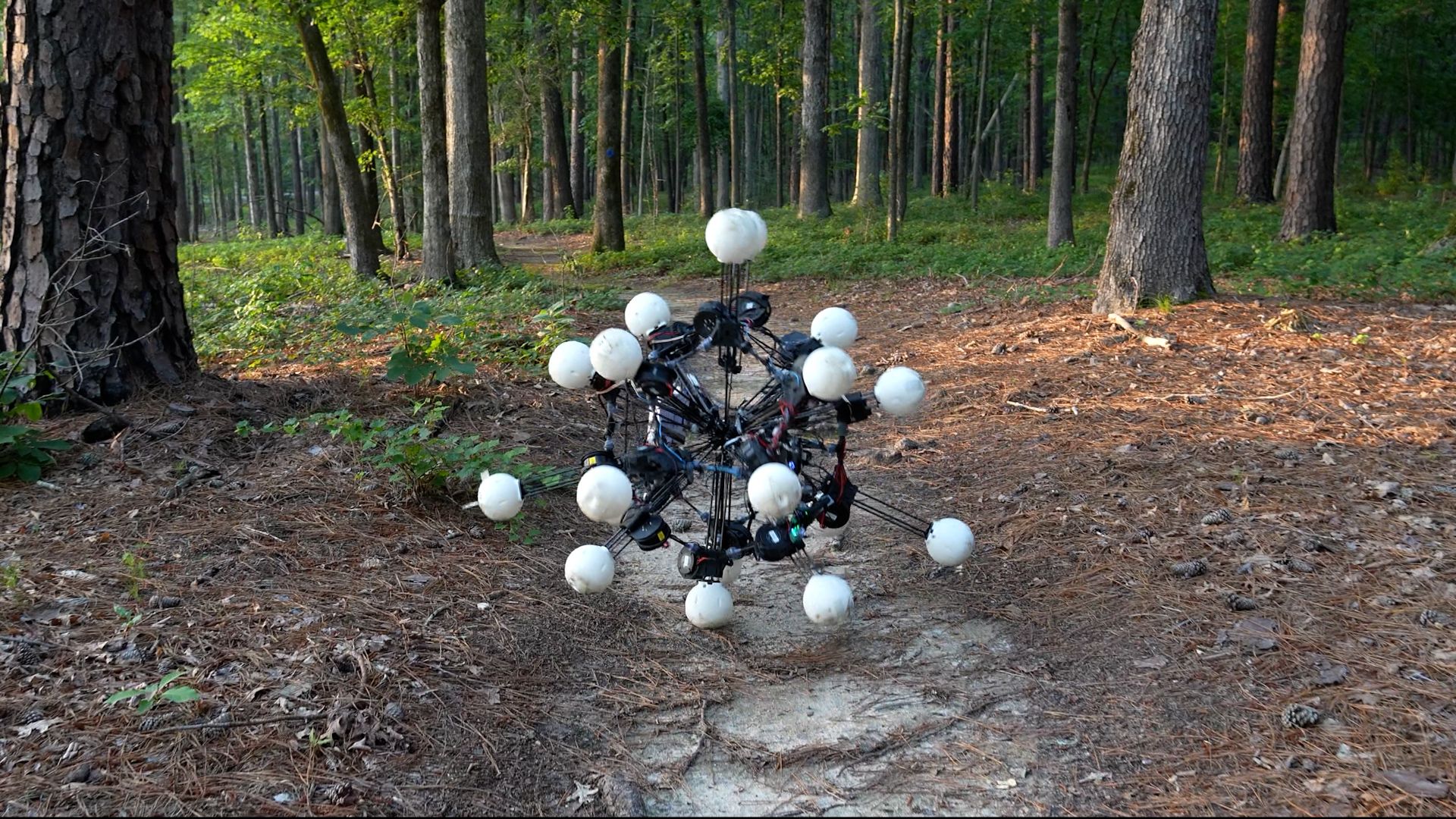 Scientists found the optimal robot body, and it has 20 legs — watch it scale walls and move through trees Scientists found the optimal robot body, and it has 20 legs — watch it scale walls and move through trees