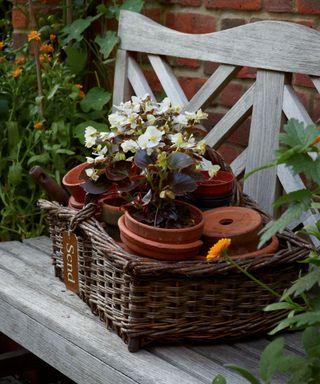 Wooden garden bench, wicker basket of potted plants