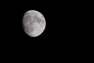 Birds Photobomb 'Supermoon'