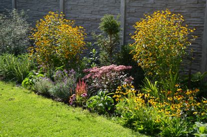 A flower bed bordering a lawn