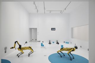 Robot dogs in white gallery space