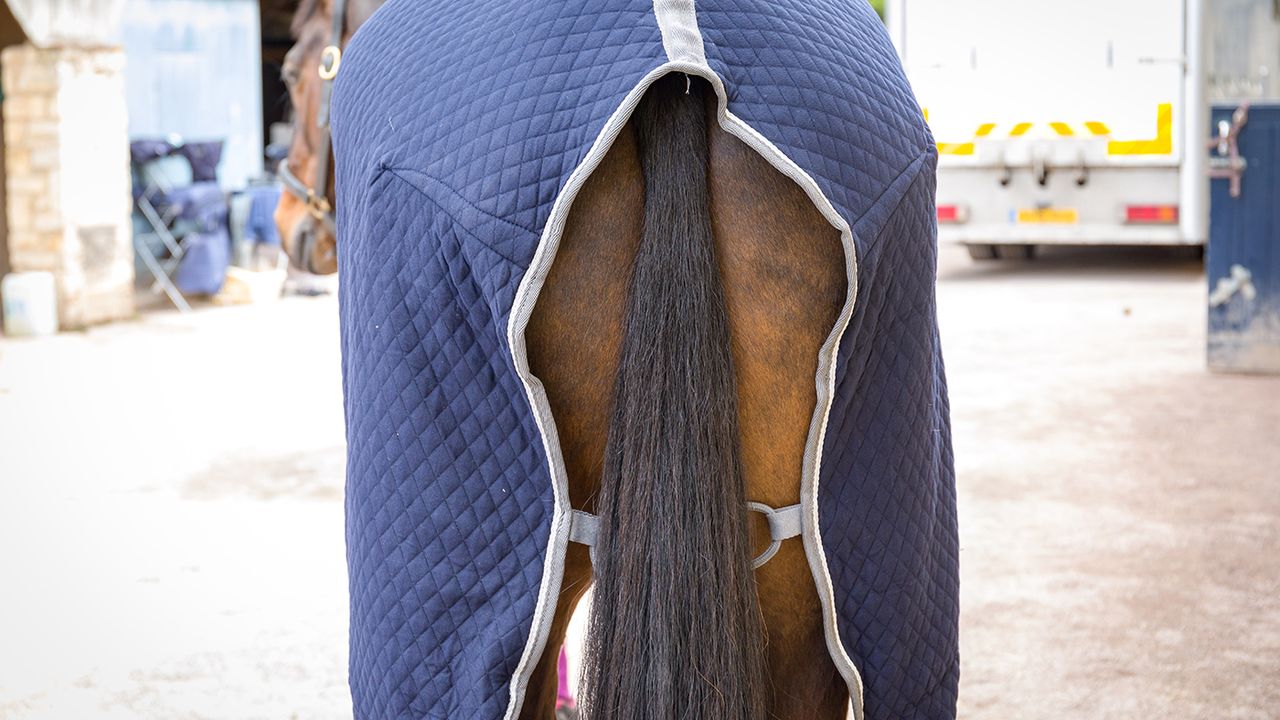 WeatherBeeta Thermic Quilt standard neck cooler review