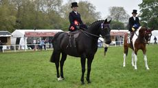 DSC_1979.jpg