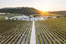 Explore wine&rsquo;s new frontiers with Multidimensional Wine, by G&eacute;rard Bertrand