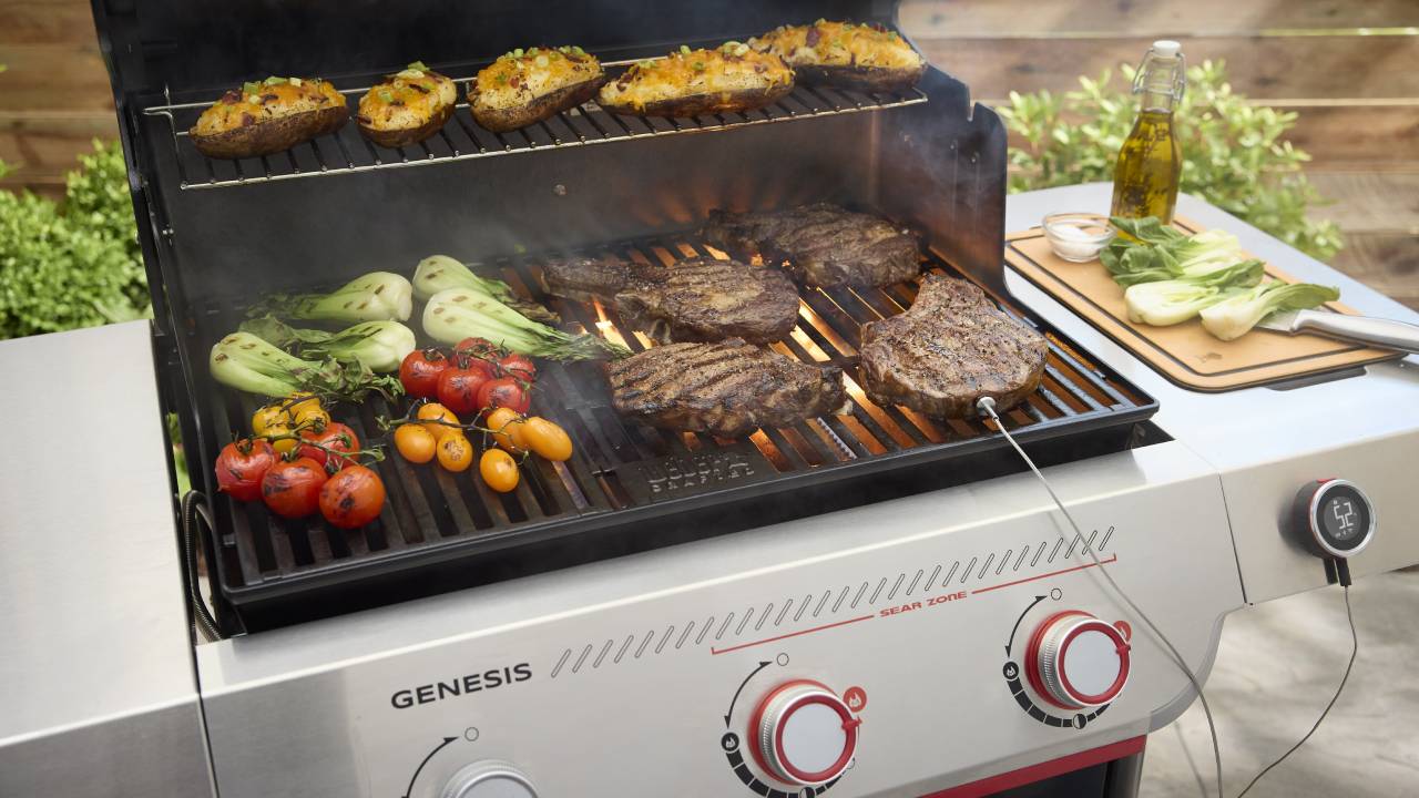 Weber Genesis