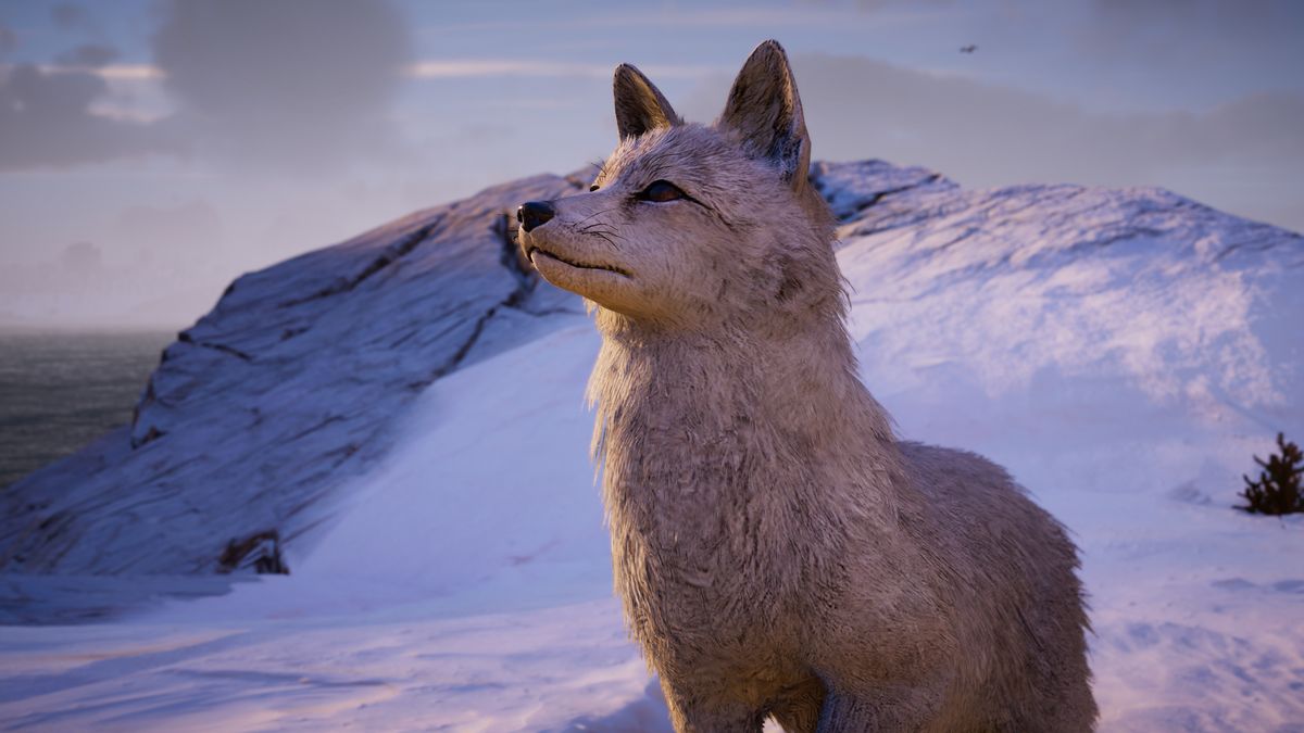 Every animal I've seen in Assassin's Creed Valhalla, rated | PC Gamer