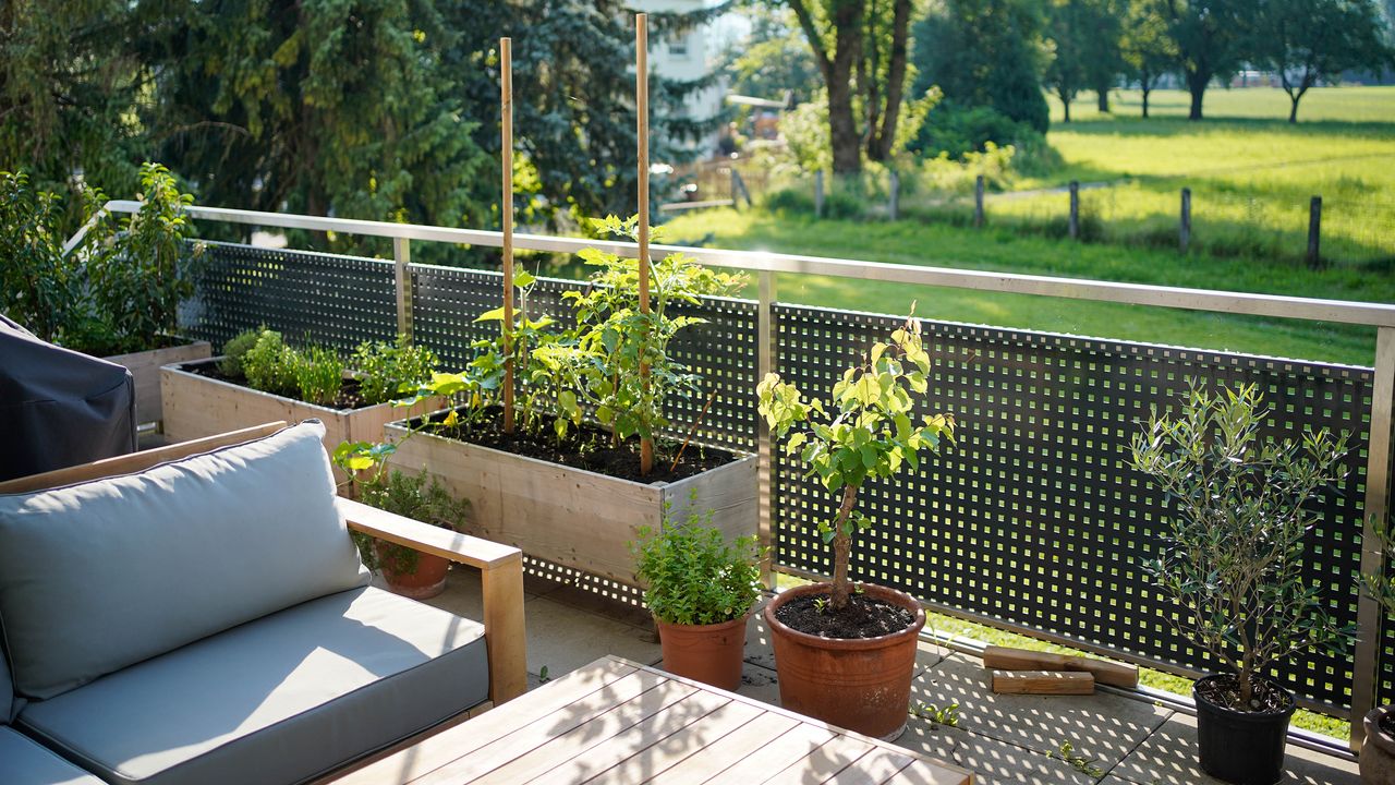 Raised beds on a balcony