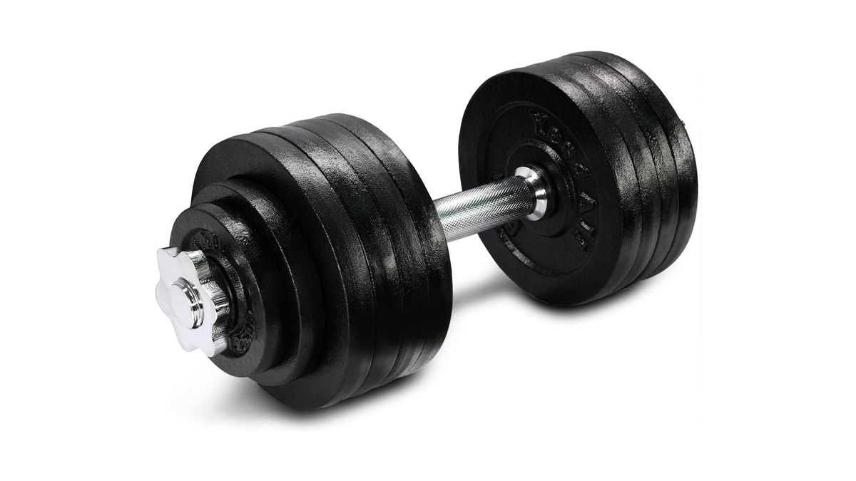 Cheap adjustable dumbbells on sale Live Science