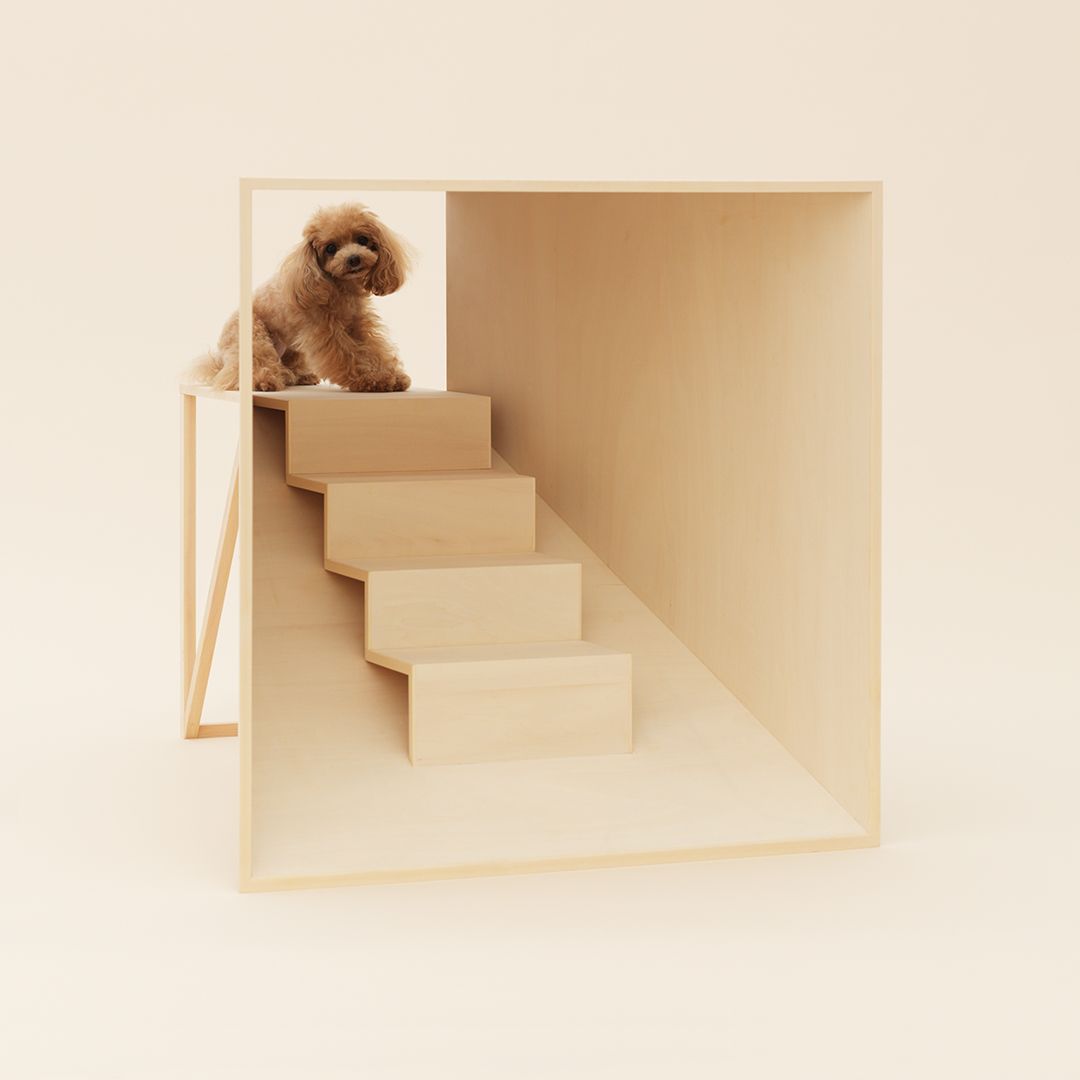 Dog kennel