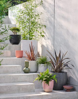 planters on garden steps