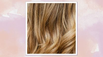 A close up of the back of a woman's balayaged hair, featuring a brunette to blonde gradient/ in a peach and purple watercolour paint-style template 