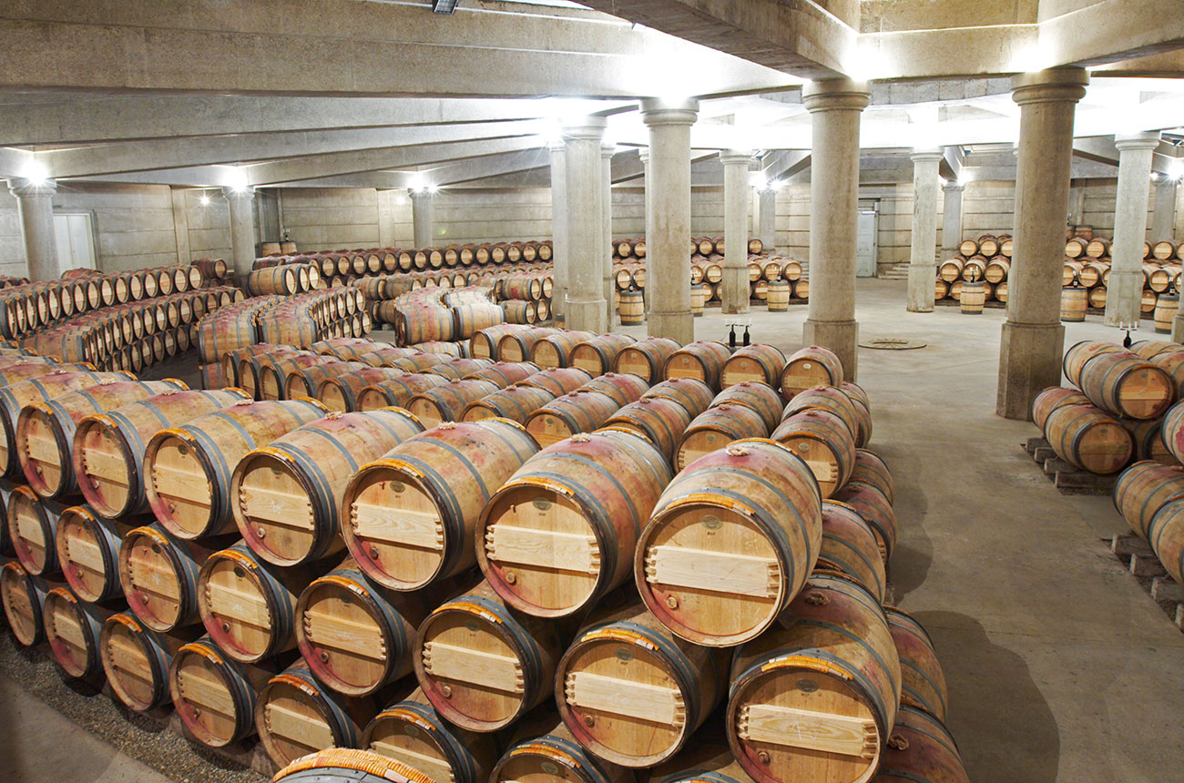 Lafite Rothschild cellars