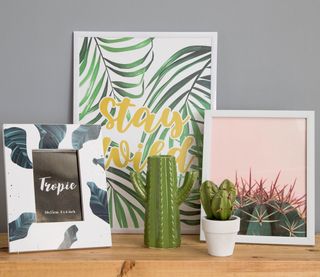 room with grey wall and cactus in white pot