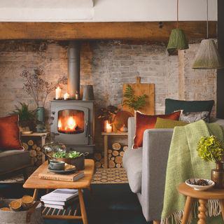 Cosy living room with red cushions, green throw, house plants and a woodburning fire place.