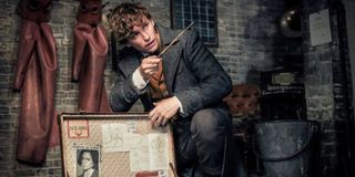 Eddie Redmayne as Newt Scamander from Fantastic Beasts and Where To Find Them