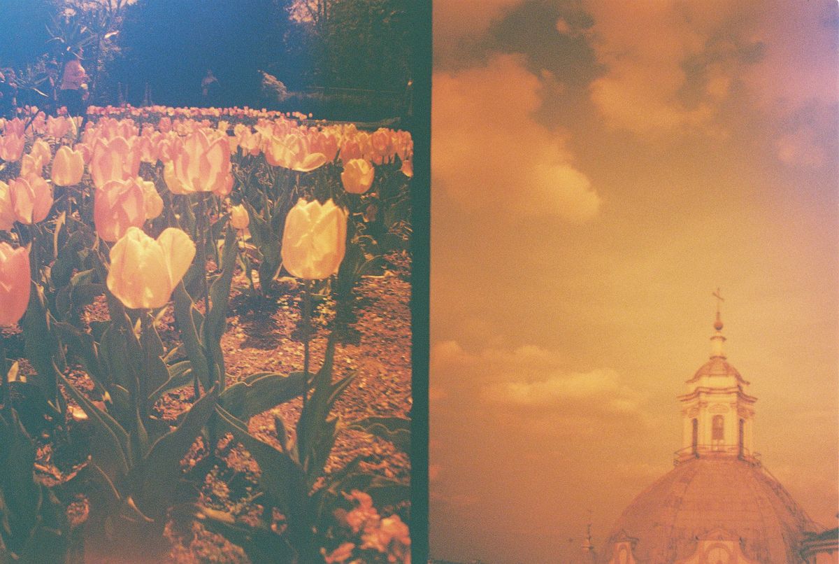 Lomography Half-Frame Lomourette sample images