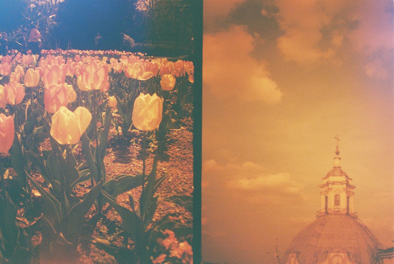Lomography Half-Frame Lomourette sample images