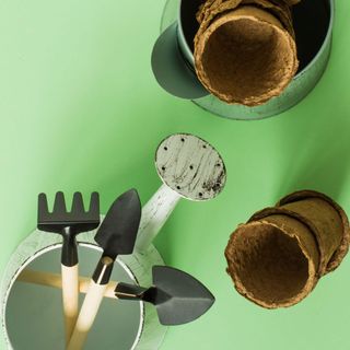 Tools, peat pots and pressed ground for seedlings