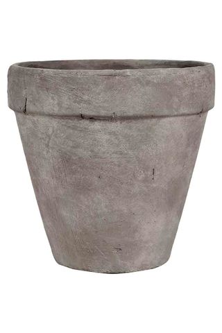 Tarragon pot, from £10, neptune