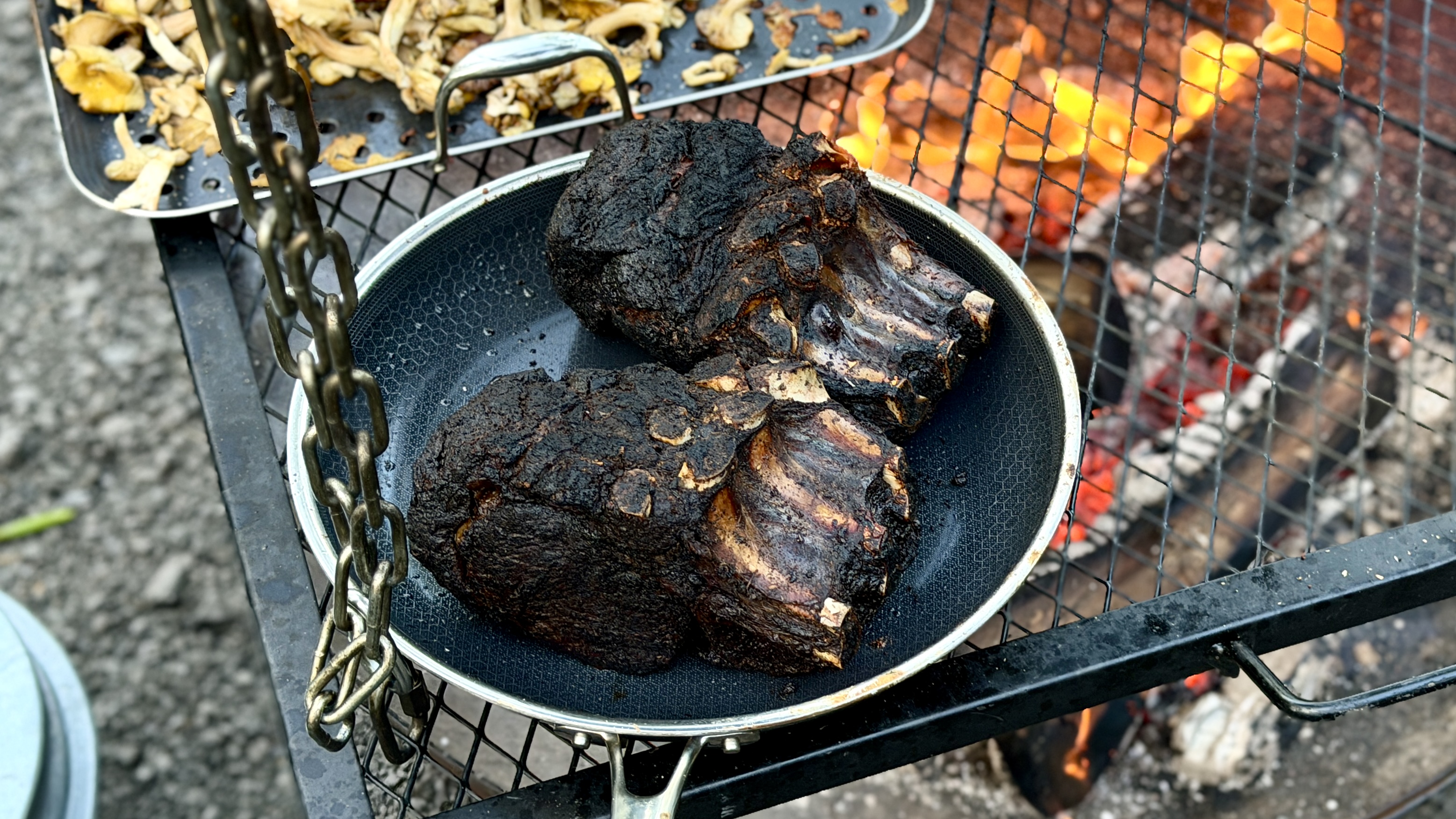 Hexclad pan with steak over fire