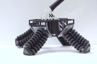 Soft rock-climbing robot