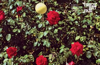 Tennis ball in front of red roses