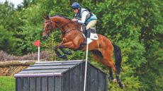 HorseNo857_Aston3_20PN_70221.jpg