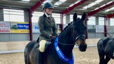 Working-Horse-1-Emily-Mcquillian-Graffite-V-1.jpeg