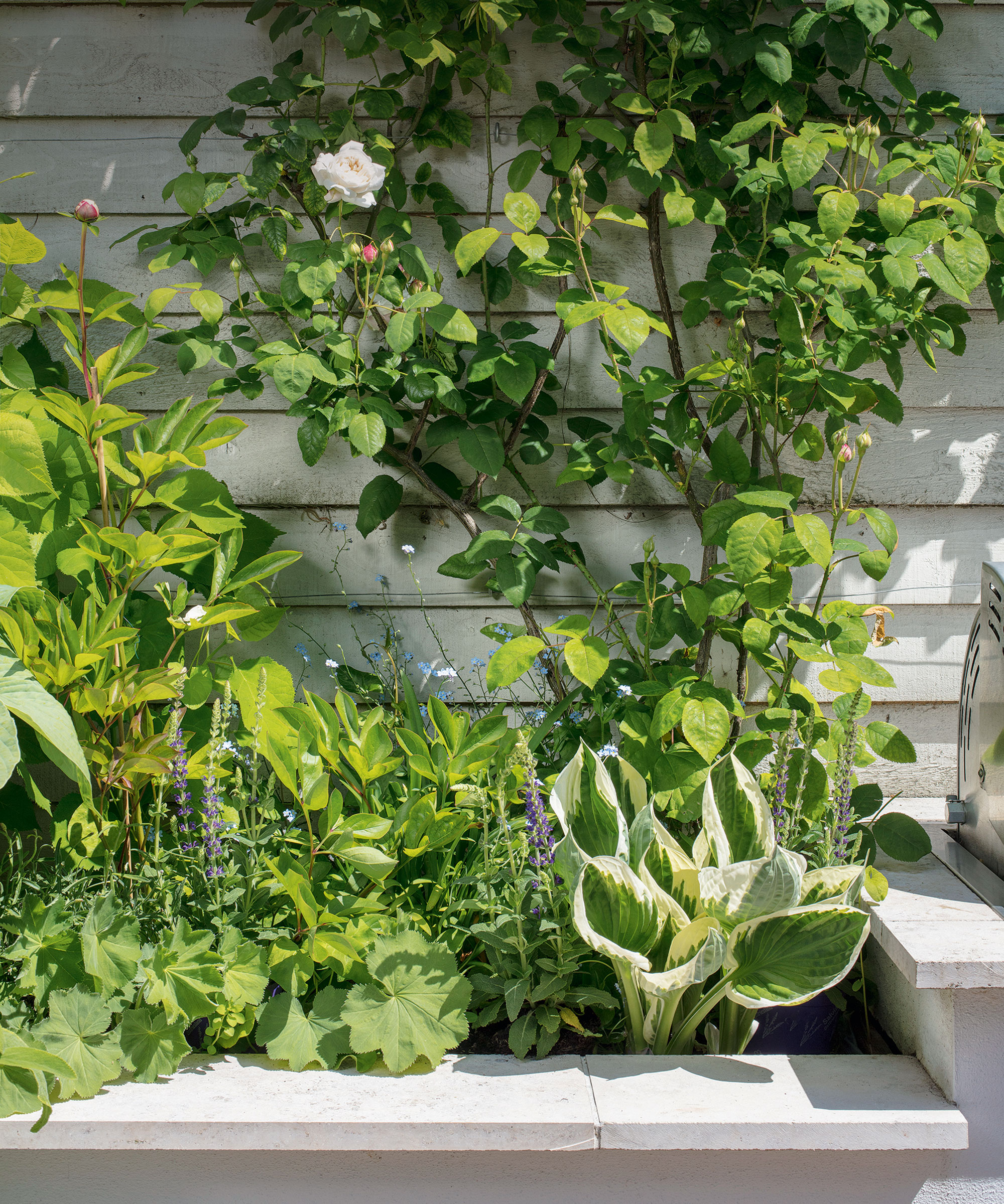 Raised garden bed ideas in pale stone with a climbing rose.