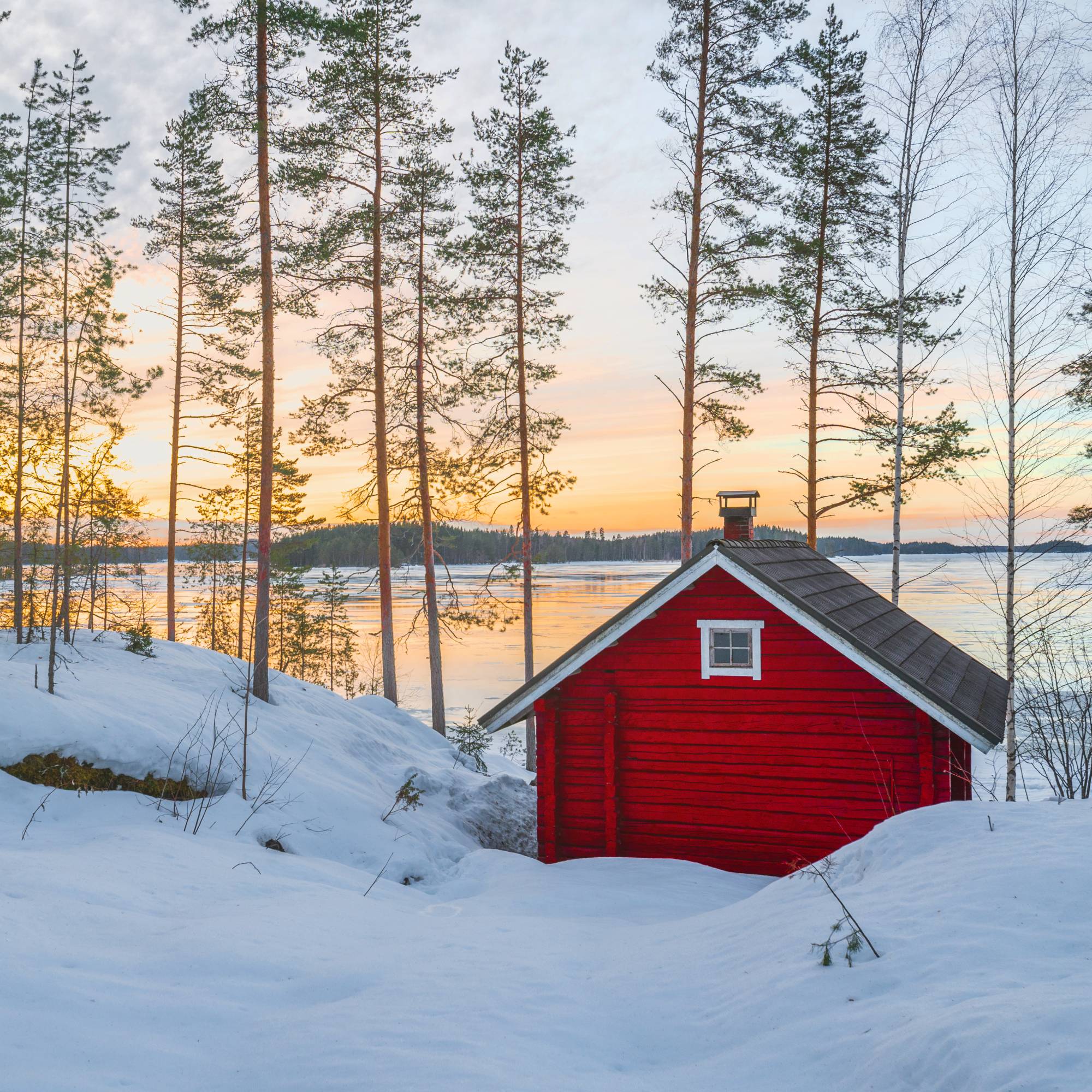 Red cabin in snowy forest