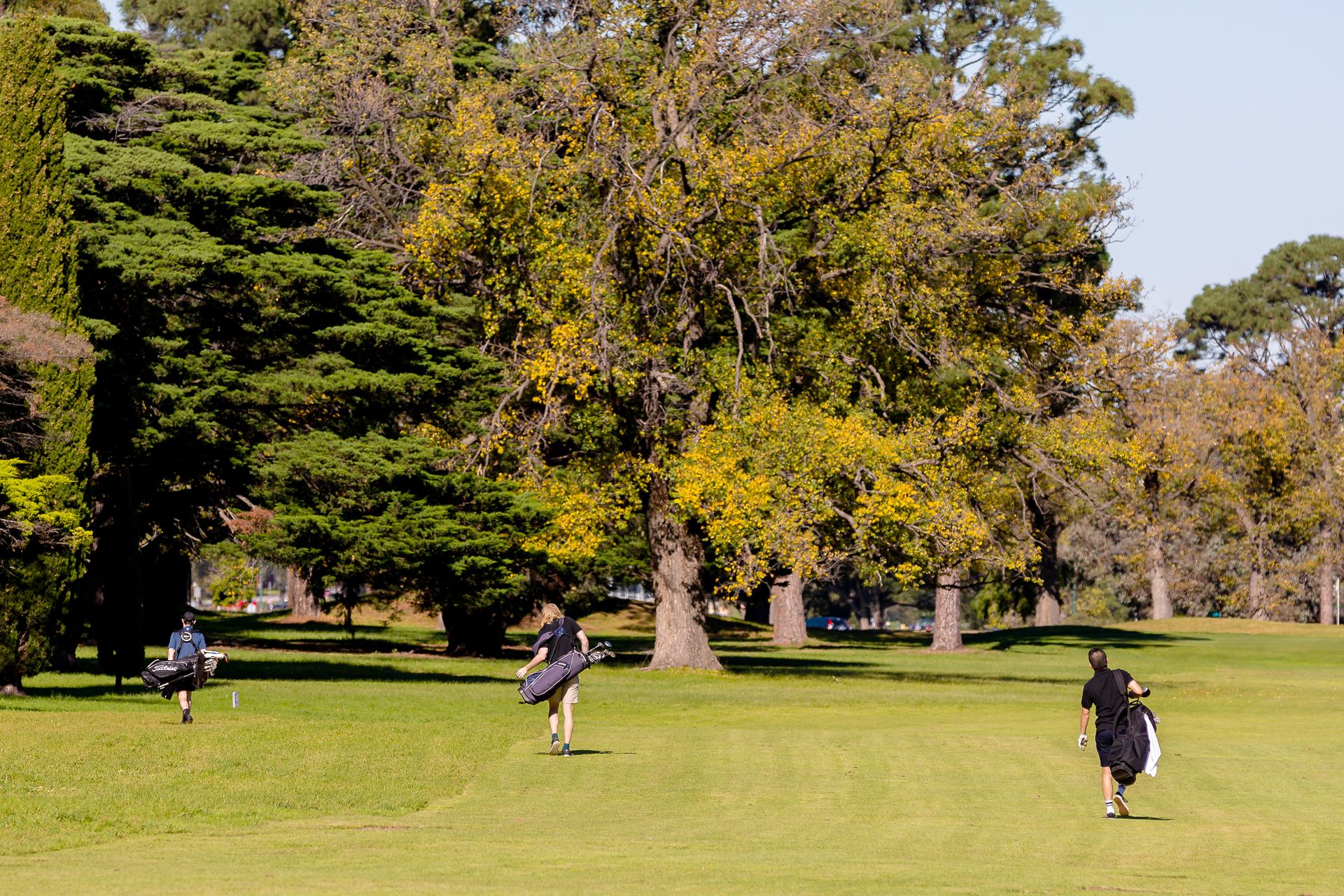 Group golf-
The 10 Most Amazing Golf World Records In History