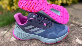 Adidas Terrex Soulstride running shoes on pavement