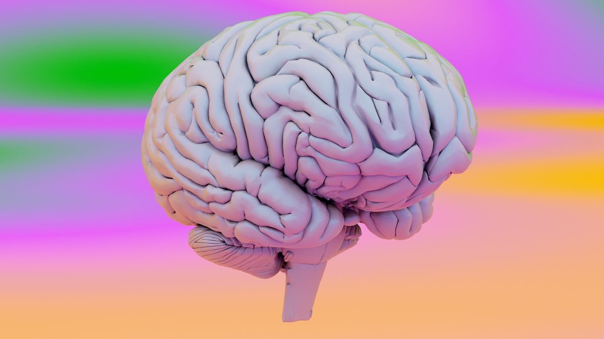 Strikingly simple 'dial' in the brain may help it distinguish imagination from reality