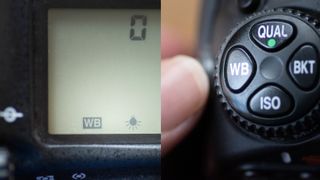 A camera screen and camera button options