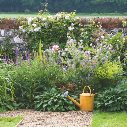  Garden brick and flint wall covered with green foliage, and flowers, watering can 