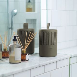 Green Absodry dehumidifier on bathroom shelf