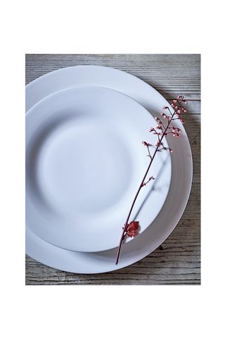 Classic Aspen Fine Bone China Dinner Plate, £5. Side Plate, £4.50