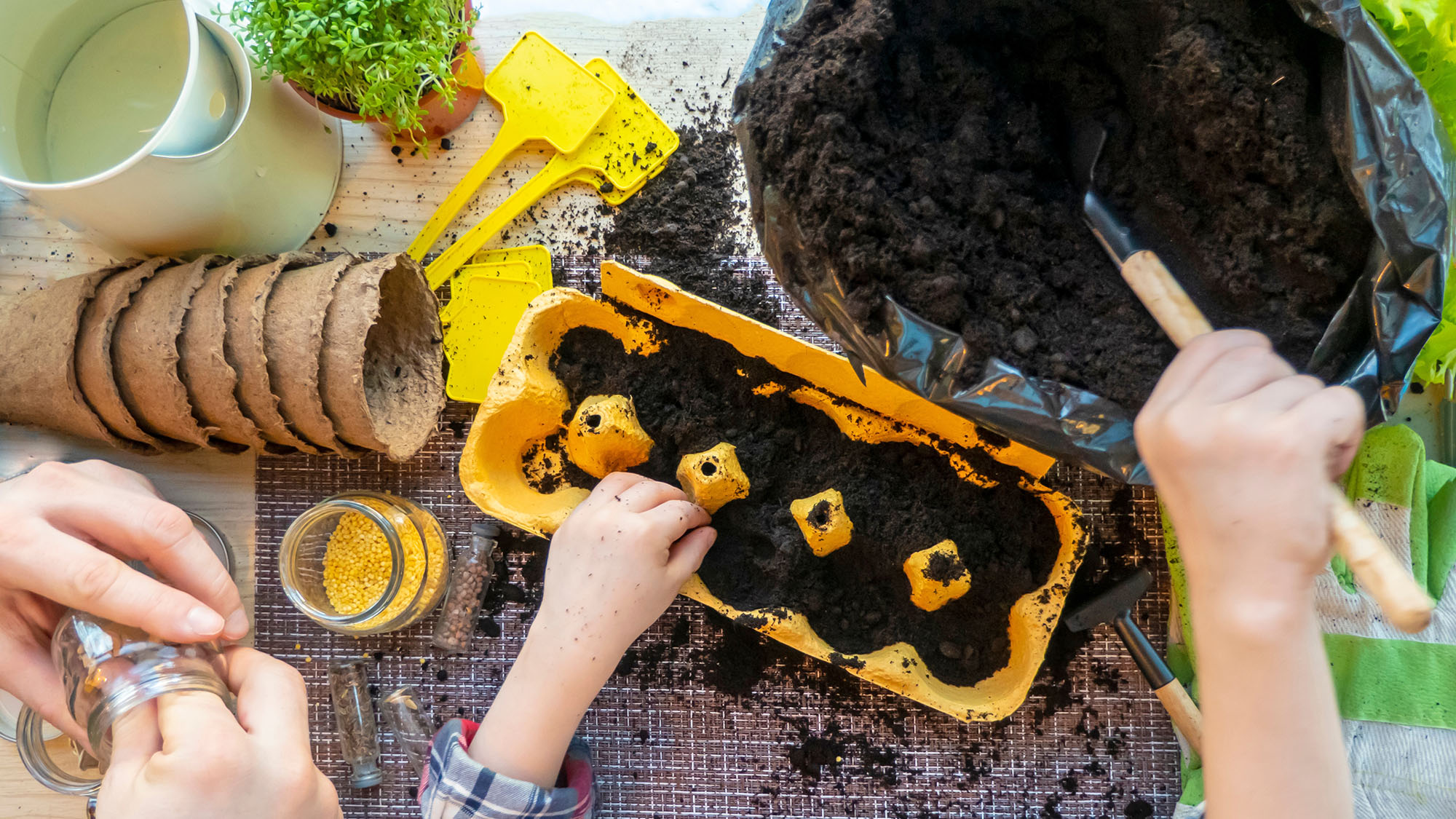 Parent and child fill a recycled egg carton with potting mix to get them ready for planting seeds. Also on the table are biodegradable seedling pots and plant markers