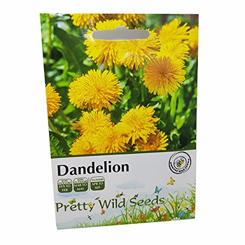 Dandelion Wildflower Seeds in Pictorial Packet From a Uk Seller