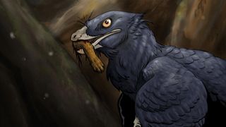 An artist's interpretation of what the Microraptor may have looked like while eating a rodent.