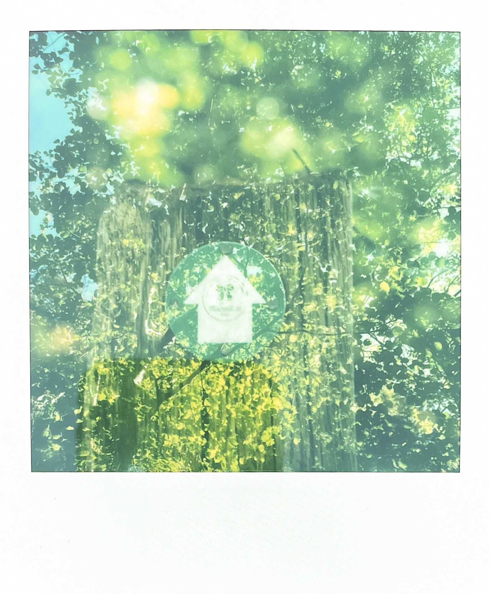 You can shoot up to four double exposures, and this is great fun