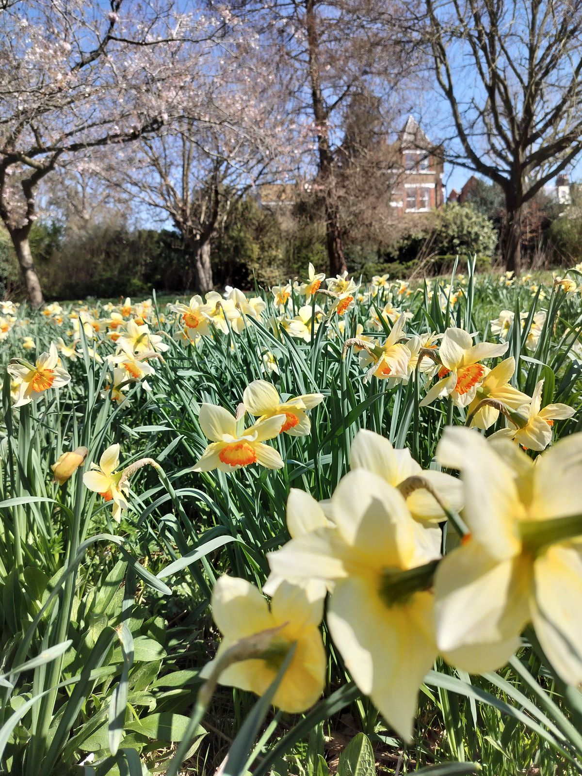 A photo captured on the OnePlus Nord CE 3 Lite 5G