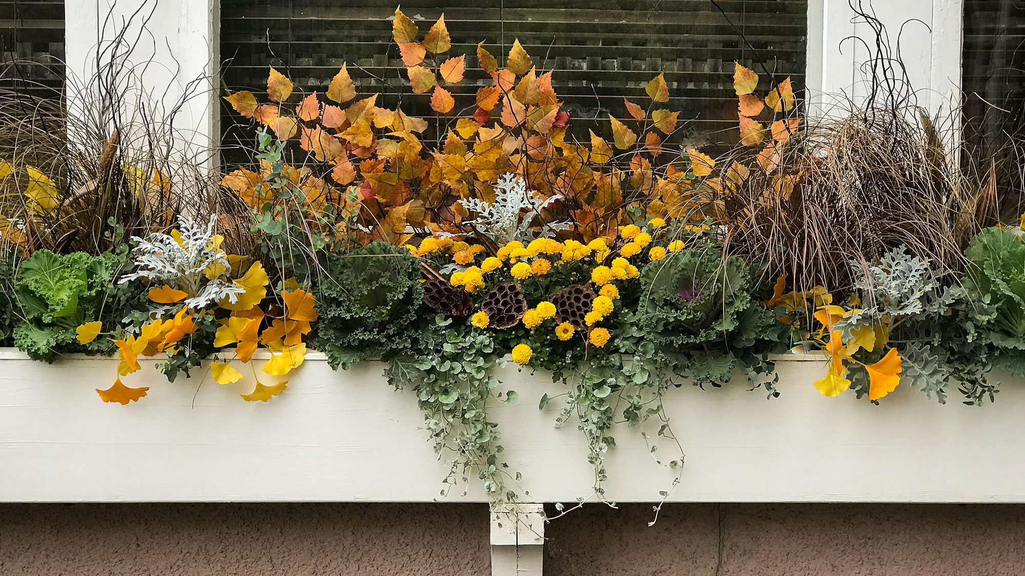 window box planter with a colourful selection of yellow and orange plants for autumn