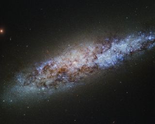 Dwarf Spiral Galaxy NGC 4605